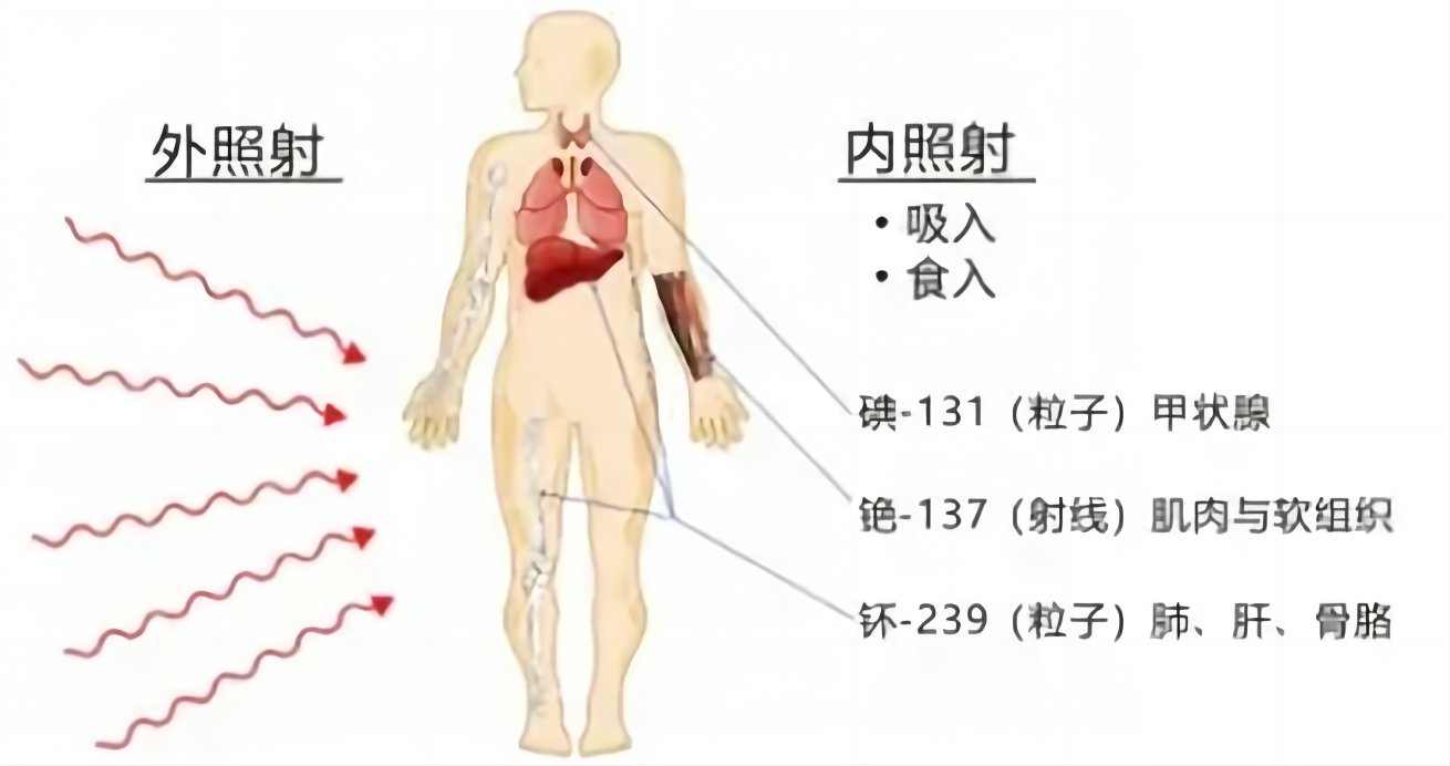 d754e0d7e7cd353afbb595113759274.png