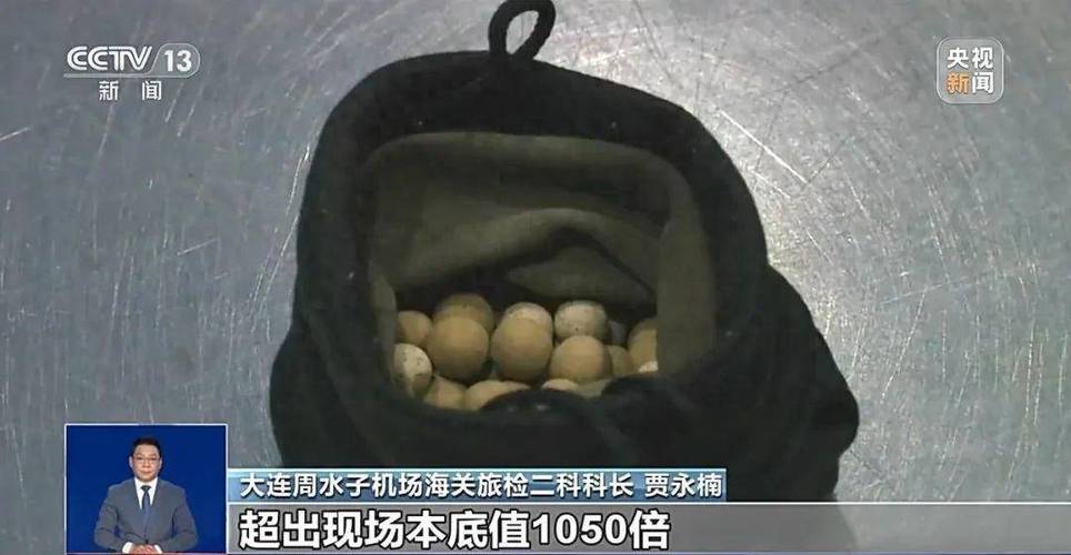 5283c6775cd7d4cf1c2ac68f26b831f9_u=2531879228,1741265096&fm=253&app=120&f=JPEG_w=964&h=500.jpg